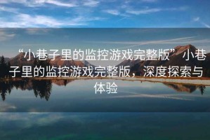 “小巷子里的監控游戲完整版”小巷子里的監控游戲完整版，深度探索與體驗