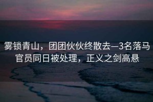 霧鎖青山，團團伙伙終散去—3名落馬官員同日被處理，正義之劍高懸