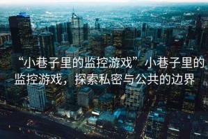 “小巷子里的監(jiān)控游戲”小巷子里的監(jiān)控游戲，探索私密與公共的邊界