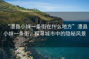 “澧縣小妹一條街在什么地方”澧縣小妹一條街，探尋城市中的隱秘風景