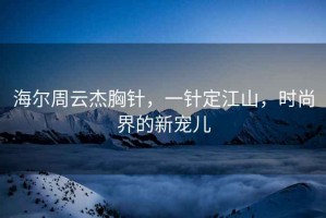海爾周云杰胸針，一針定江山，時尚界的新寵兒
