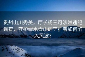貴州山川秀美，廳長楊三可涉嫌違紀調查，守護綠水青山的守護者如何陷入風波？