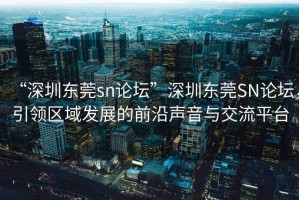 “深圳東莞sn論壇”深圳東莞SN論壇，引領區(qū)域發(fā)展的前沿聲音與交流平臺