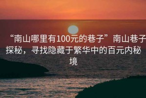 “南山哪里有100元的巷子”南山巷子探秘，尋找隱藏于繁華中的百元內秘境