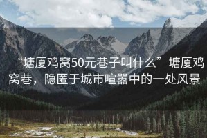 “塘廈雞窩50元巷子叫什么”塘廈雞窩巷，隱匿于城市喧囂中的一處風(fēng)景