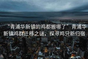 “青浦華新鎮的雞都搬哪了”青浦華新鎮雞群遷移之謎，探尋雞只新歸宿