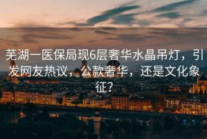 蕪湖一醫(yī)保局現(xiàn)6層奢華水晶吊燈，引發(fā)網(wǎng)友熱議，公款奢華，還是文化象征？