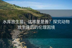 水庫放生貓，這哪里是善？探究動物放生背后的倫理困境
