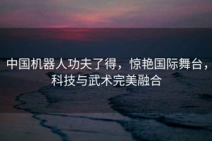 中國機(jī)器人功夫了得，驚艷國際舞臺(tái)，科技與武術(shù)完美融合