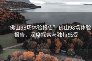 “佛山98場體驗報告”佛山98場體驗報告，深度探索與獨特感受