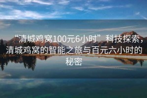 “清城雞窩100元6小時”科技探索，清城雞窩的智能之旅與百元六小時的秘密