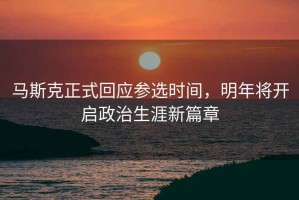 馬斯克正式回應參選時間，明年將開啟政治生涯新篇章