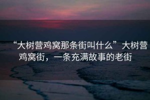 “大樹營雞窩那條街叫什么”大樹營雞窩街，一條充滿故事的老街