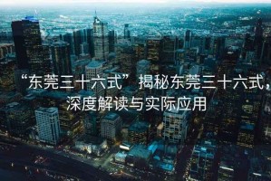 “東莞三十六式”揭秘東莞三十六式，深度解讀與實際應用