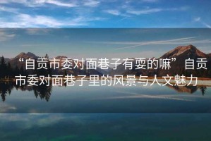 “自貢市委對面巷子有耍的嘛”自貢市委對面巷子里的風景與人文魅力