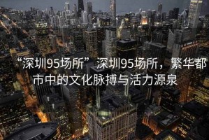 “深圳95場所”深圳95場所，繁華都市中的文化脈搏與活力源泉