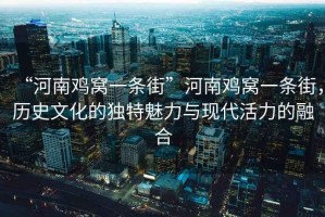 “河南雞窩一條街”河南雞窩一條街，歷史文化的獨(dú)特魅力與現(xiàn)代活力的融合