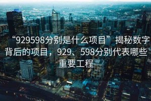 “929598分別是什么項目”揭秘數(shù)字背后的項目，929、598分別代表哪些重要工程
