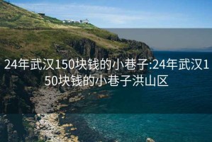 24年武漢150塊錢(qián)的小巷子:24年武漢150塊錢(qián)的小巷子洪山區(qū)