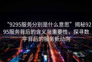 “9295服務(wù)分別是什么意思”揭秘9295服務(wù)背后的含義與重要性，探尋數(shù)字背后的服務(wù)新動向