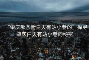“肇慶哪條街白天有站小巷的”探尋肇慶白天有站小巷的秘密