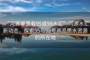 “河源哪里有95或98水匯”河源水匯新動態，探索95與98號高品質水資源的所在地