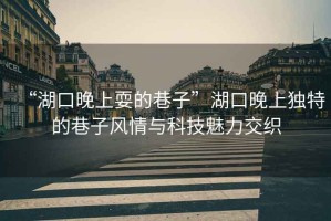 “湖口晚上耍的巷子”湖口晚上獨特的巷子風情與科技魅力交織