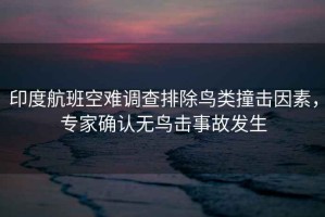 印度航班空難調查排除鳥類撞擊因素，專家確認無鳥擊事故發生