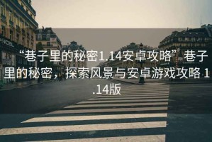 “巷子里的秘密1.14安卓攻略”巷子里的秘密，探索風景與安卓游戲攻略 1.14版
