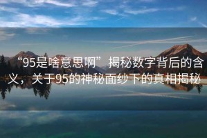 “95是啥意思啊”揭秘?cái)?shù)字背后的含義，關(guān)于95的神秘面紗下的真相揭秘