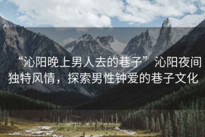 “沁陽晚上男人去的巷子”沁陽夜間獨特風情，探索男性鐘愛的巷子文化