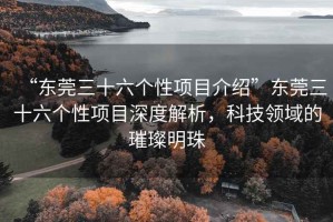 “東莞三十六個性項目介紹”東莞三十六個性項目深度解析，科技領域的璀璨明珠