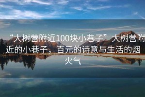 “大樹營(yíng)附近100塊小巷子”大樹營(yíng)附近的小巷子，百元的詩意與生活的煙火氣