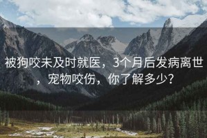 被狗咬未及時(shí)就醫(yī)，3個(gè)月后發(fā)病離世，寵物咬傷，你了解多少？