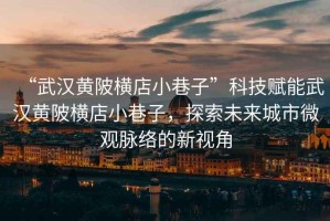 “武漢黃陂橫店小巷子”科技賦能武漢黃陂橫店小巷子，探索未來城市微觀脈絡的新視角