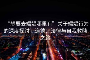 “想要去嫖娼哪里有”關于嫖娼行為的深度探討，道德、法律與自我救贖之路