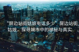 “屏邊站街姑娘電話多少”屏邊站街姑娘，探尋城市中的神秘與真實(shí)