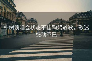 樸樹演唱會狀態不佳鞠躬道歉，歌迷感動不已