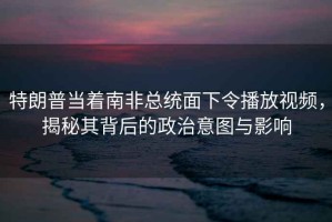 特朗普當著南非總統面下令播放視頻，揭秘其背后的政治意圖與影響