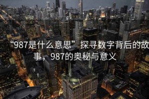 “987是什么意思”探尋數字背后的故事，987的奧秘與意義