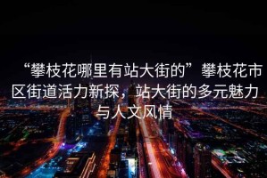 “攀枝花哪里有站大街的”攀枝花市區街道活力新探，站大街的多元魅力與人文風情