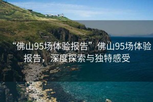 “佛山95場體驗報告”佛山95場體驗報告，深度探索與獨特感受