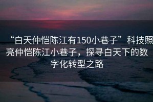 “白天仲愷陳江有150小巷子”科技照亮仲愷陳江小巷子，探尋白天下的數字化轉型之路