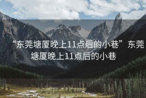 “東莞塘廈晚上11點后的小巷”東莞塘廈晚上11點后的小巷