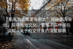 “重慶渝北哪里有街女”揭秘重慶渝北，探尋當地文化，警惕不實傳聞與誤解—關于街女現象的深度解析