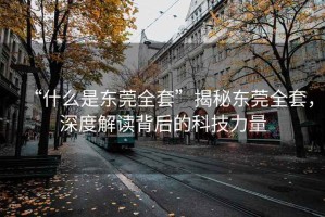 “什么是東莞全套”揭秘東莞全套，深度解讀背后的科技力量