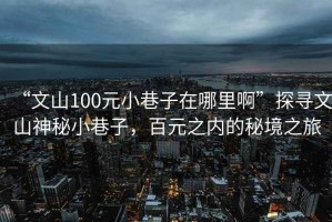“文山100元小巷子在哪里啊”探尋文山神秘小巷子，百元之內的秘境之旅
