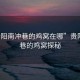 “貴陽南沖巷的雞窩在哪”貴陽南沖巷的雞窩探秘