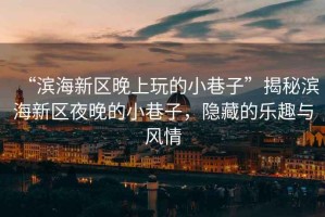 “濱海新區(qū)晚上玩的小巷子”揭秘濱海新區(qū)夜晚的小巷子，隱藏的樂趣與風(fēng)情