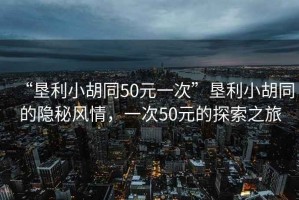 “墾利小胡同50元一次”墾利小胡同的隱秘風(fēng)情，一次50元的探索之旅